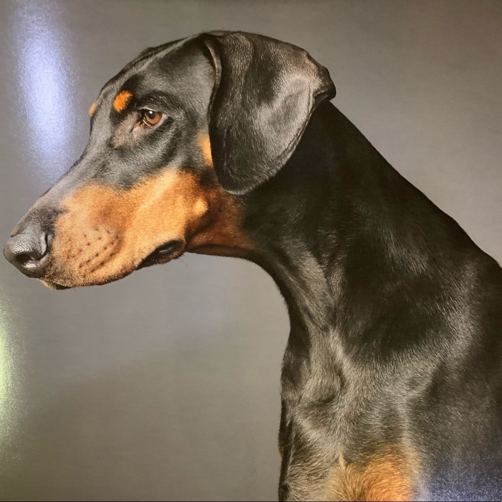 Meet your Posher, Lara